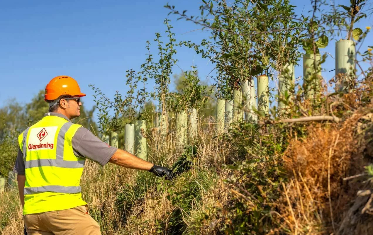 Solid Principles Tree Planting